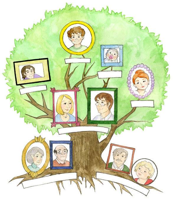 Как нарисовать семейное дерево 