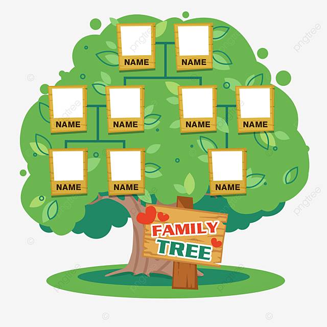 рисованной большое дерево генеалогическое дерево родословная зеленые семейные отношения PNG , семейное дерево, Ручной росписью, контакт PNG картинки и пнг PSD рисунок для бесплатной загрузки