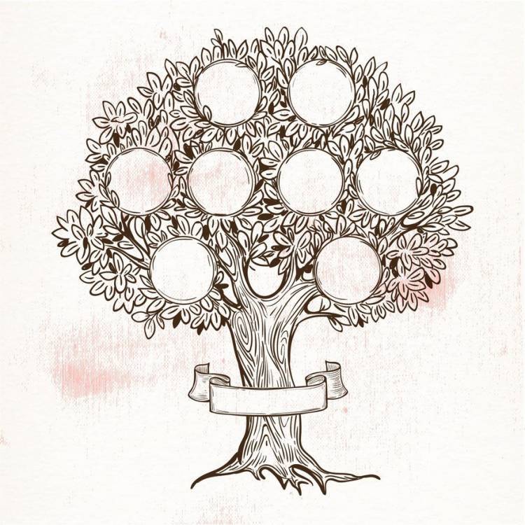 Дерево семьи шаблон рисунок