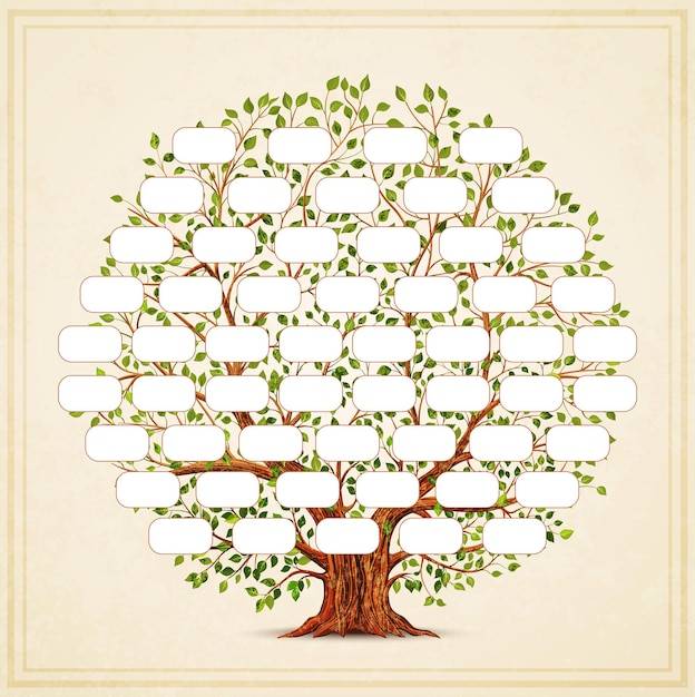 Генеалогическое дерево Изображения