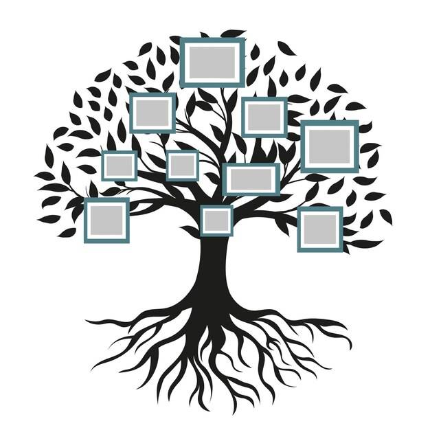 Генеалогическое древо, родословная или шаблон диаграммы родословной с ветвями, листьями, изолированными пустыми фоторамками
