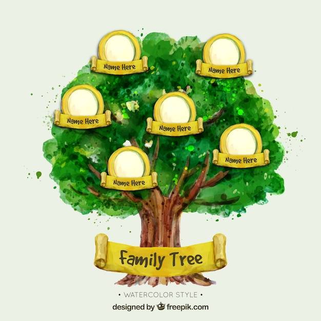 Семейное дерево Изображения