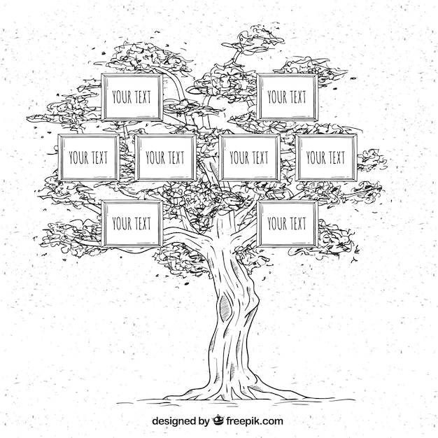 Генеалогическое дерево Изображения