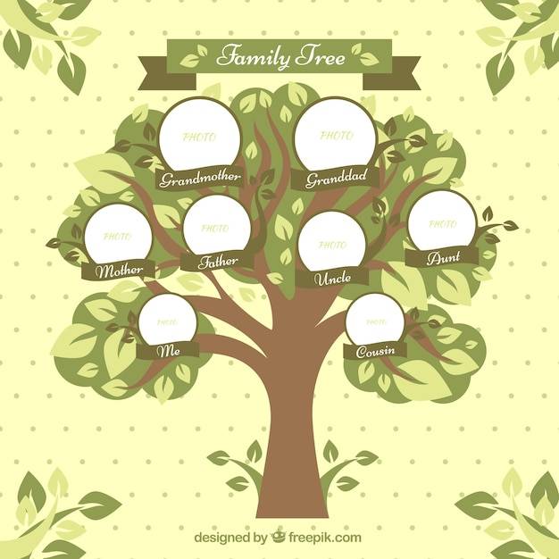 Семейное дерево с кругами и декоративными листьями