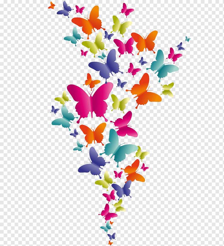 бабочки разных цветов, цветные рисунки, бабочки, Цветочная аранжировка, лист, фотография png