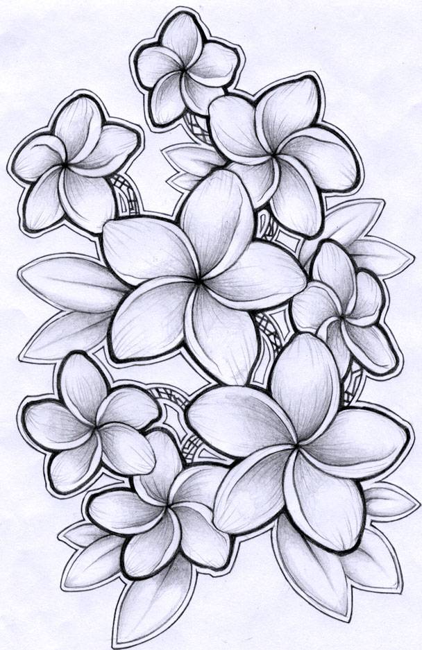 Рисунки цветов для срисовки 