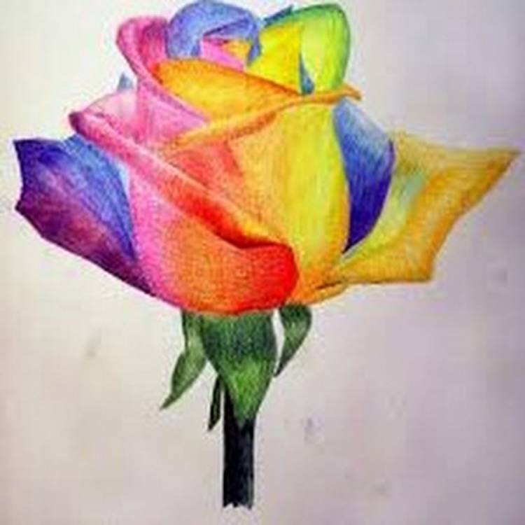 Рисуем цветы цветными карандашами