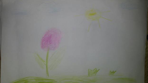 Педагогический анализ детского рисунка