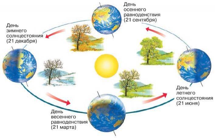 рисунок по теме вращение земли вокруг солнца