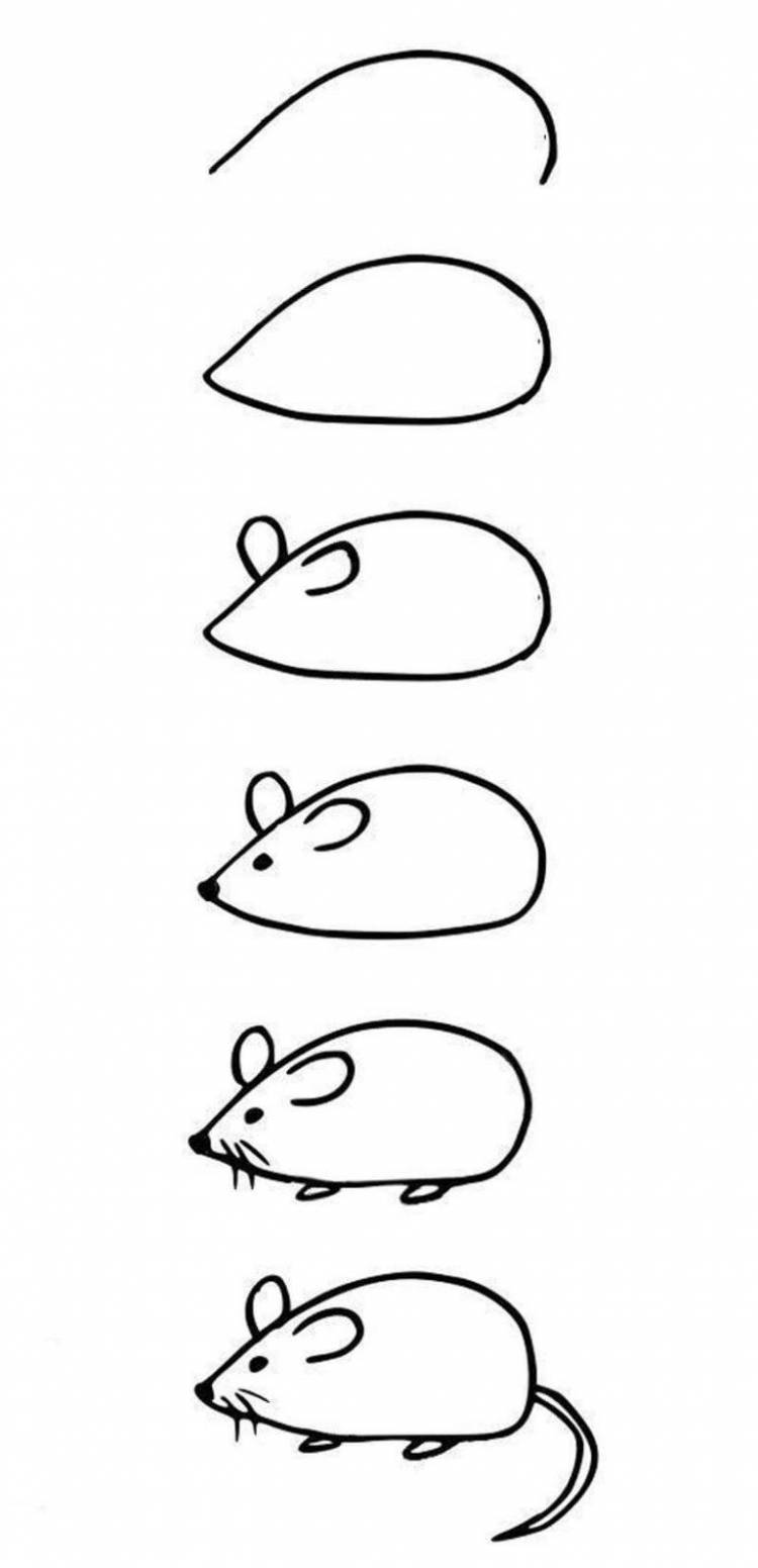 Как нарисовать мышь поэтапно карандашом 