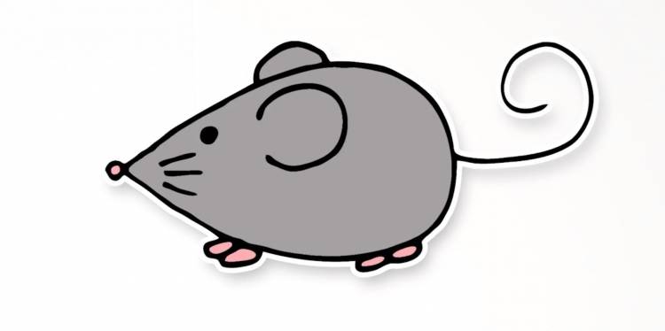 способов нарисовать мышку или крысу