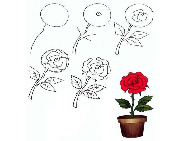 Нарисовать розу