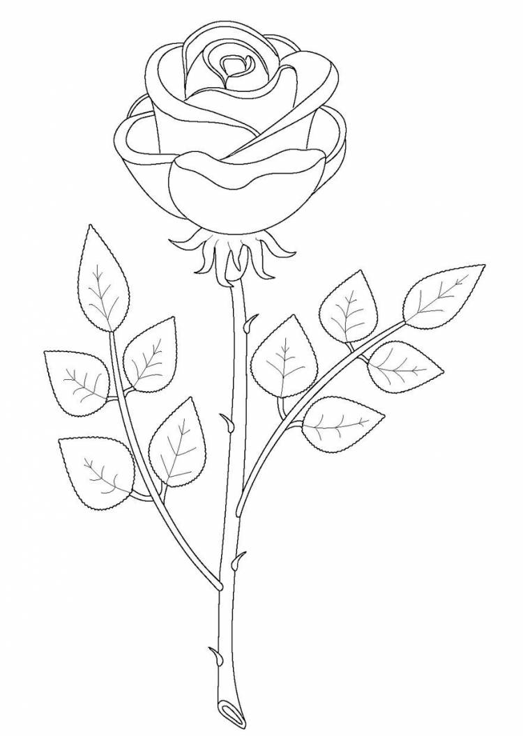Детский рисунок розы