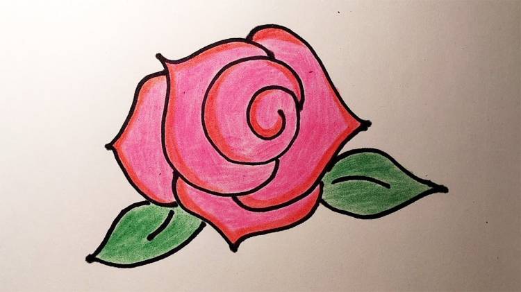 How to draw a ROSE, a simple and understandable way