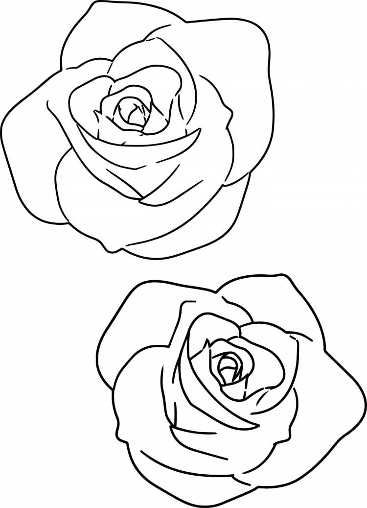 Шаблон роза рисунок