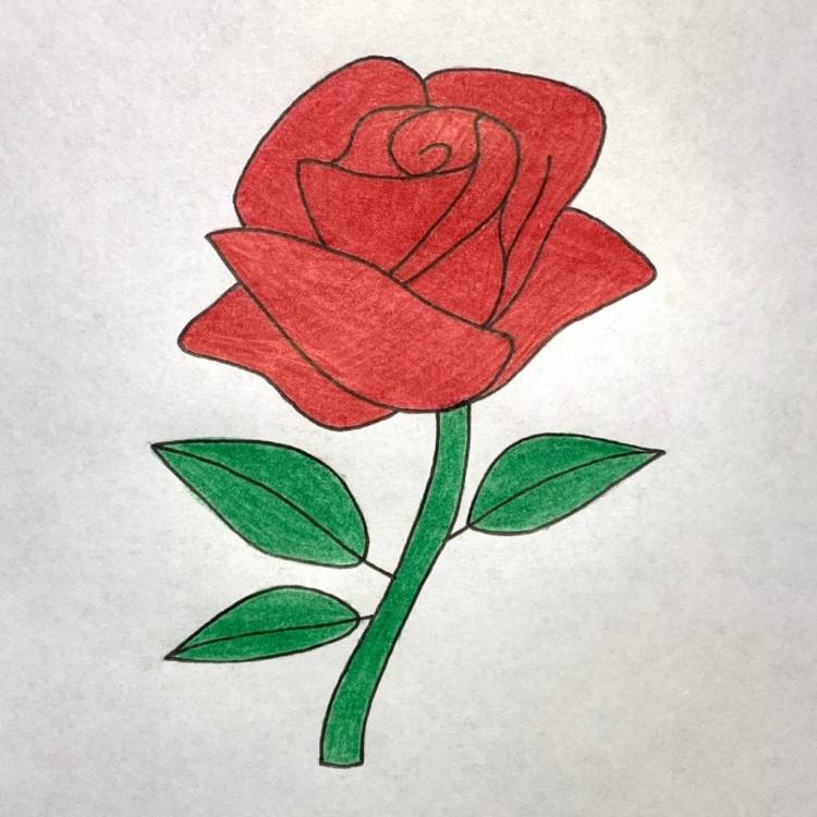 Как нарисовать легкую розу