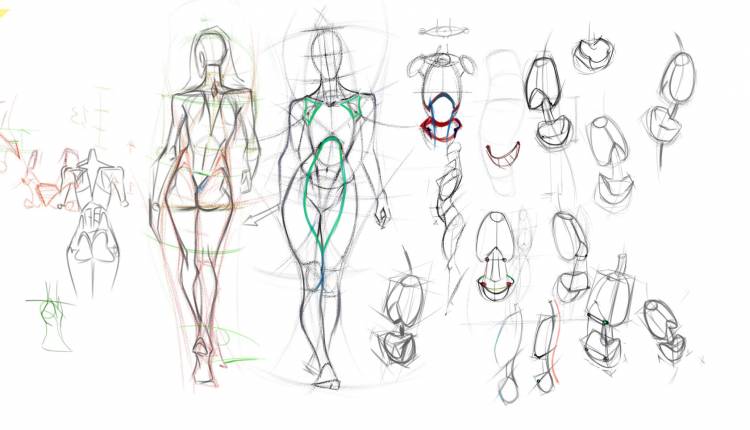 Курс по рисованию фигуры человека «Анатомия женского тела»