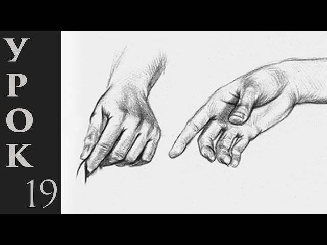 Как рисовать руки человека? Простые приемы и правила!