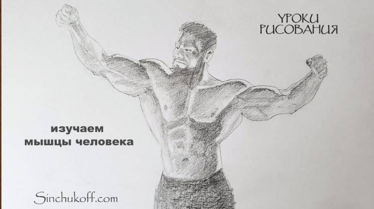 анатомия человека для художников как нарисовать человека как рисовать мышцы