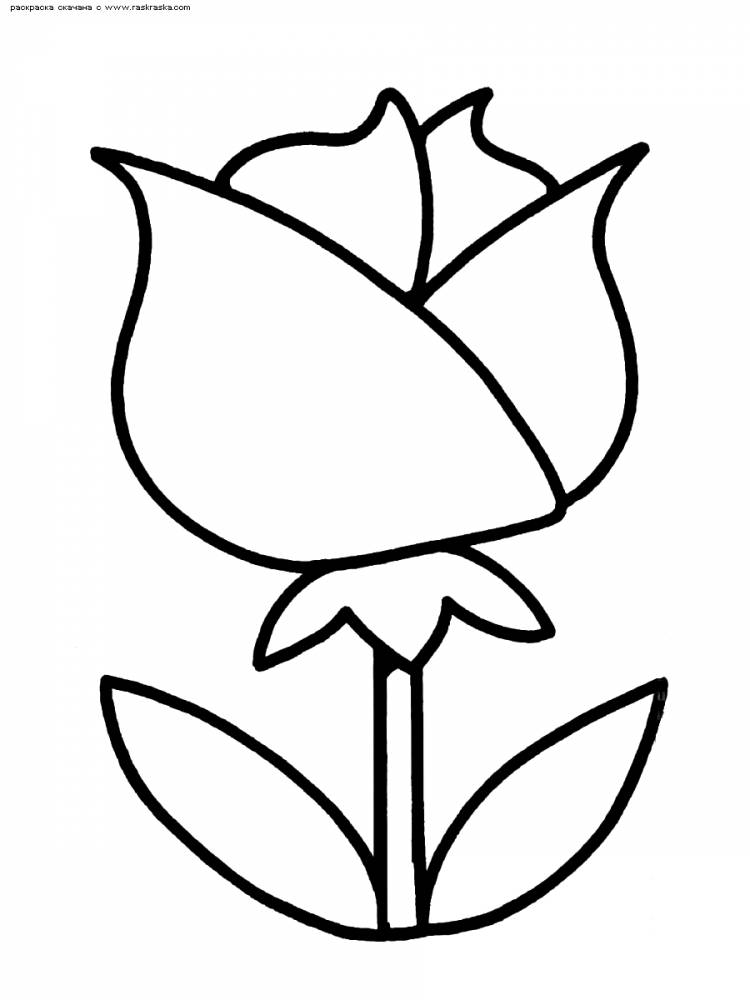 Раскраска Роза (роза, цветок)