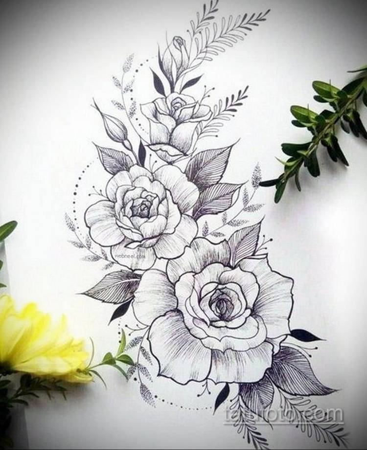 Красивые цветы рисунки карандашом