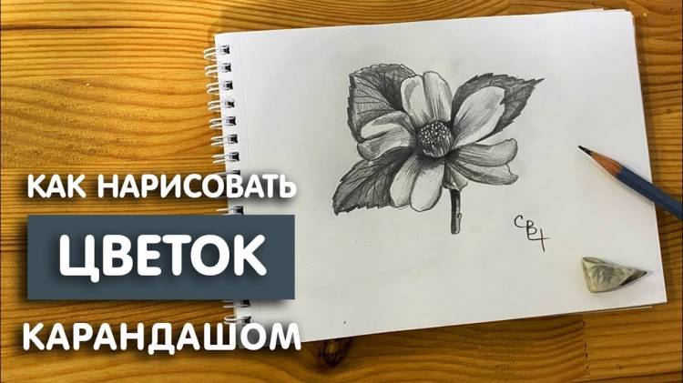 Как нарисовать цветок простым карандашом