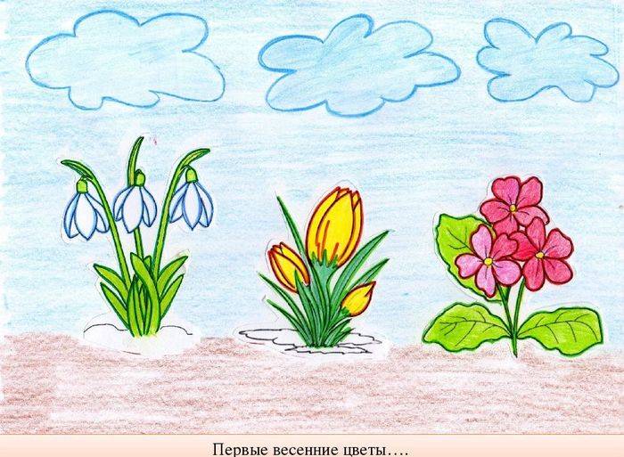 Весенние цветы картинки для детей в школу и в детский сад