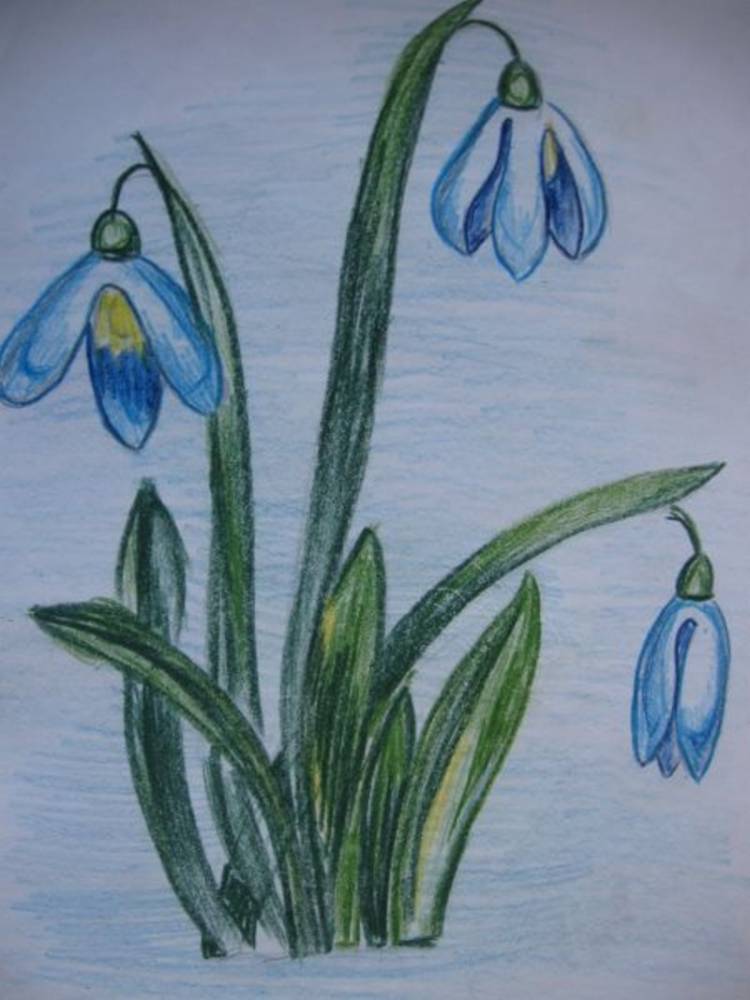 Рисунок на тему цветы весны