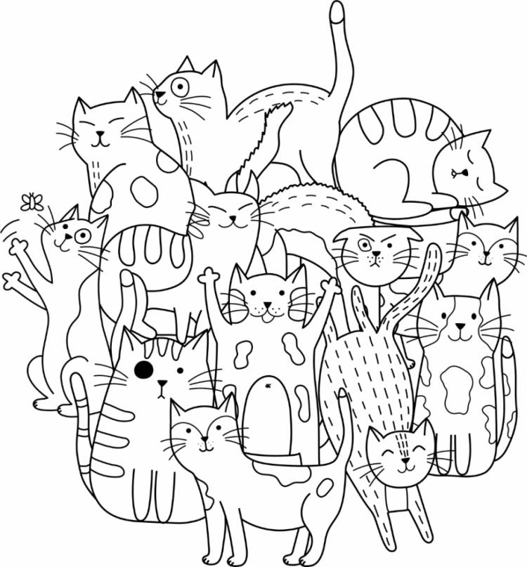 Раскраска много котиков