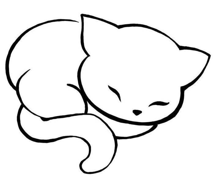 Рисунки котиков для срисовки 