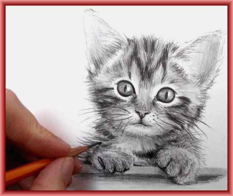 Как нарисовать кошку и котёнка Уроки рисования для детей
