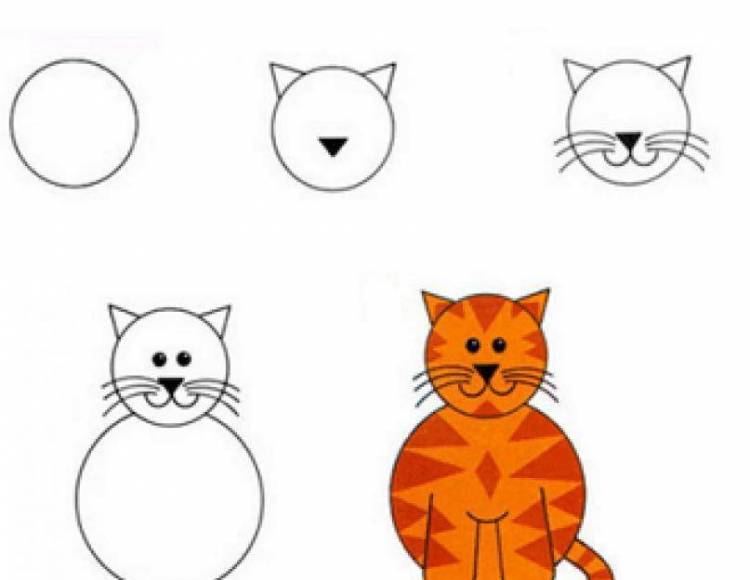 Красивые рисунки кошки карандашом поэтапно для начинающих 