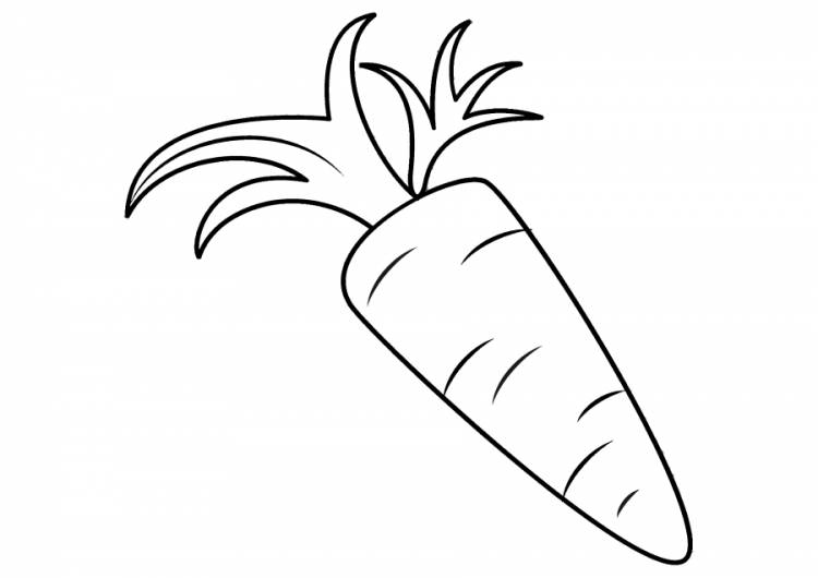 Раскраска Овощ Морковь Распечатать Бесплатно
