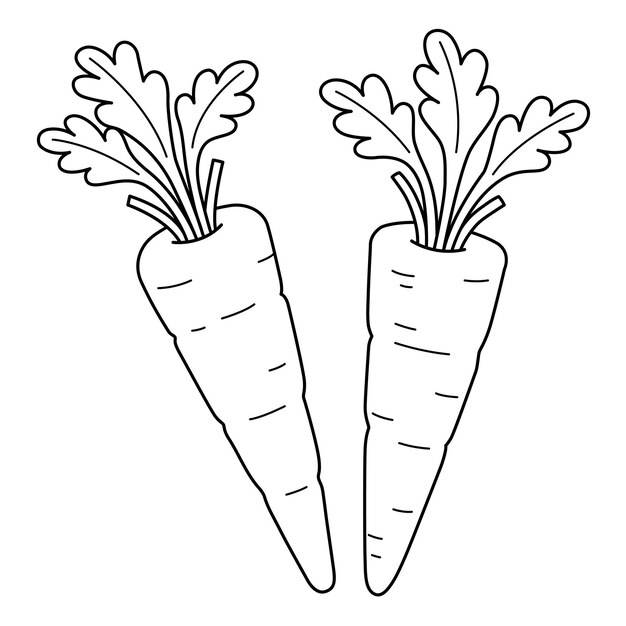 Морковь овощная изолированная раскраска для детей