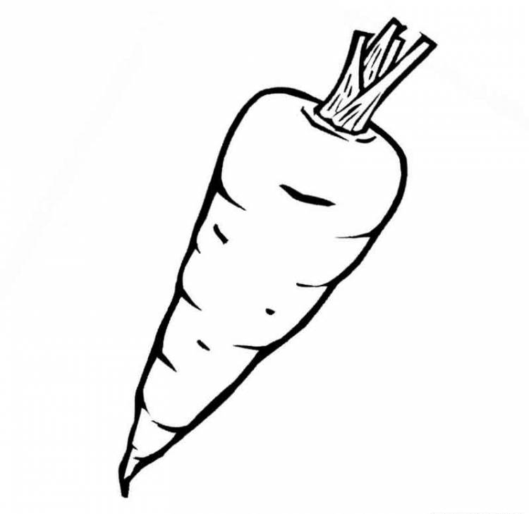 Раскраска Морковь для детей распечатать и скачать бесплатно