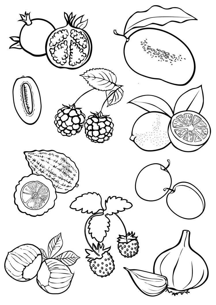 Иллюстрация Фрукты-овощи для азбуки-раскраски (выборка)