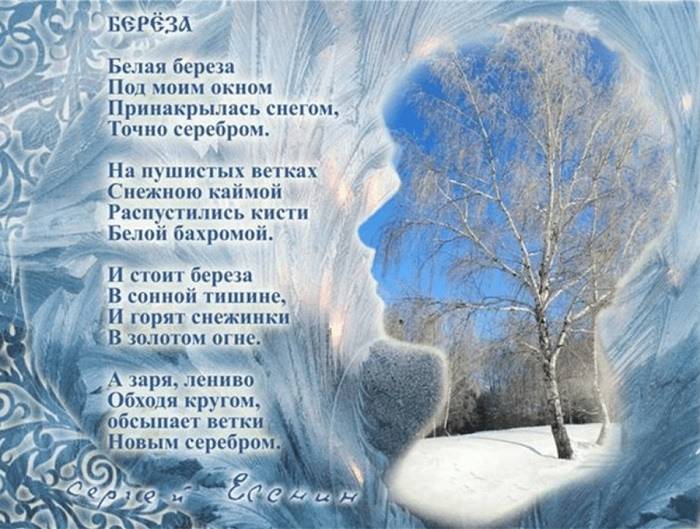 Иллюстрации к стихотворению Белая береза Есенина 