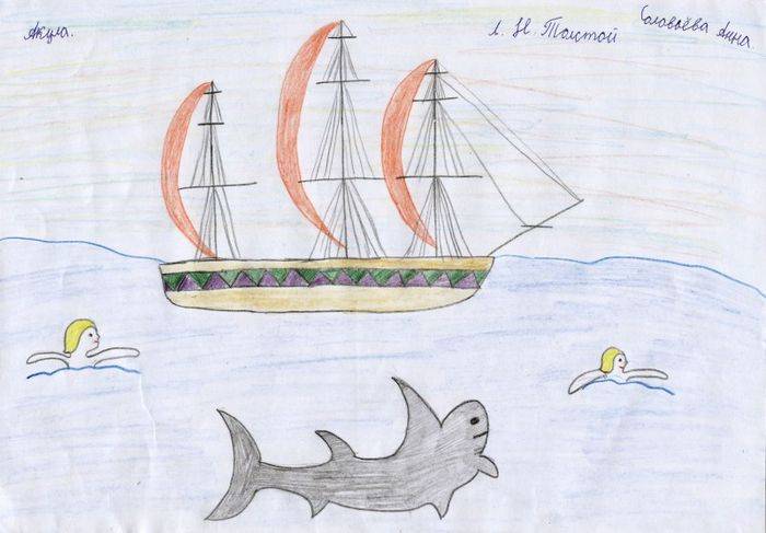 Рисунок к рассказу акула для учеников