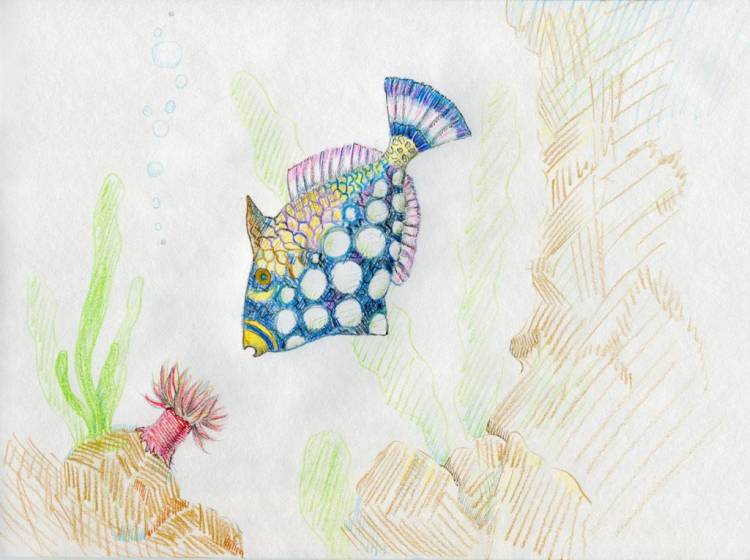 рисунок цветным карандашом животные