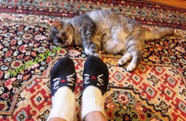 Вязаные носки с кошками