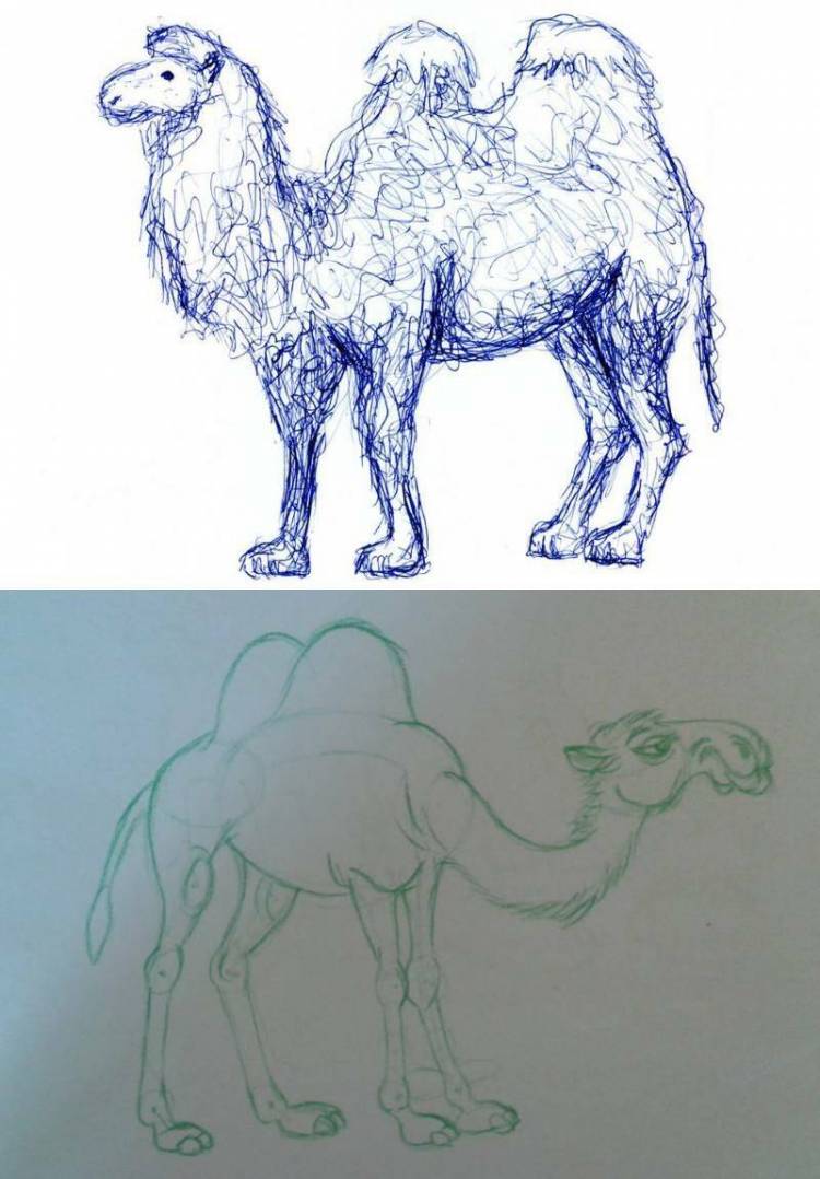 Как нарисовать верблюда для детей