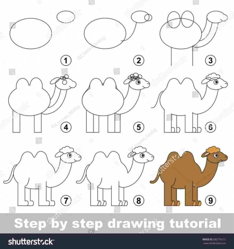 Верблюд рисунок поэтапно