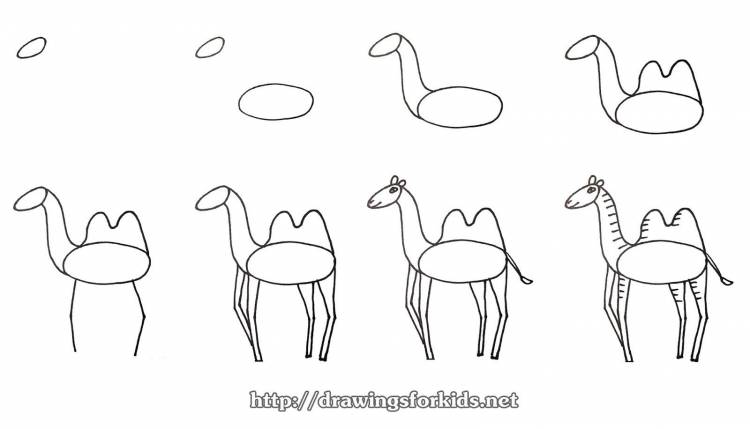 Рисунок верблюд для детей поэтапно 