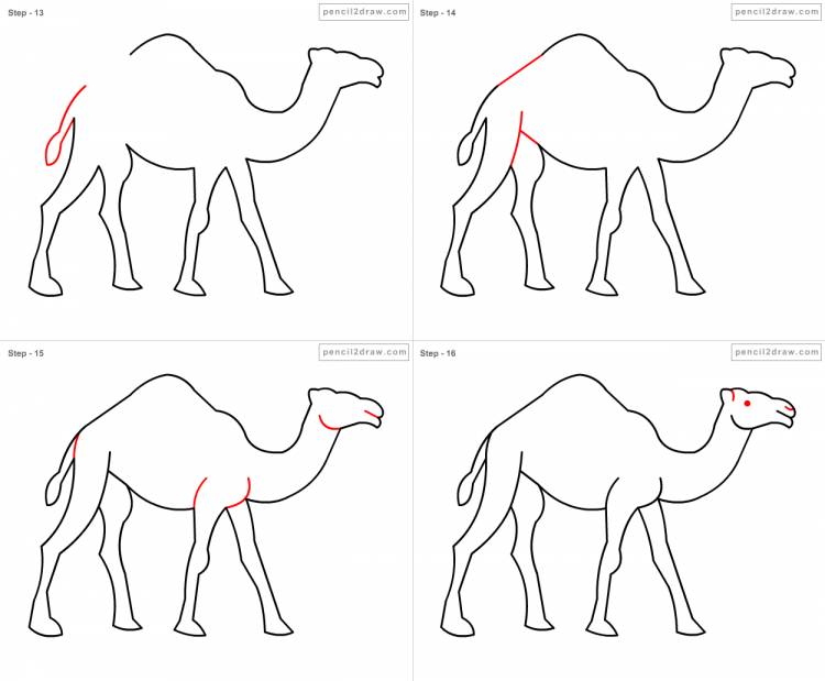 Верблюд рисунок поэтапно