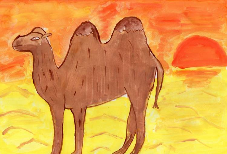 Поэтапное рисование верблюда в пустыне