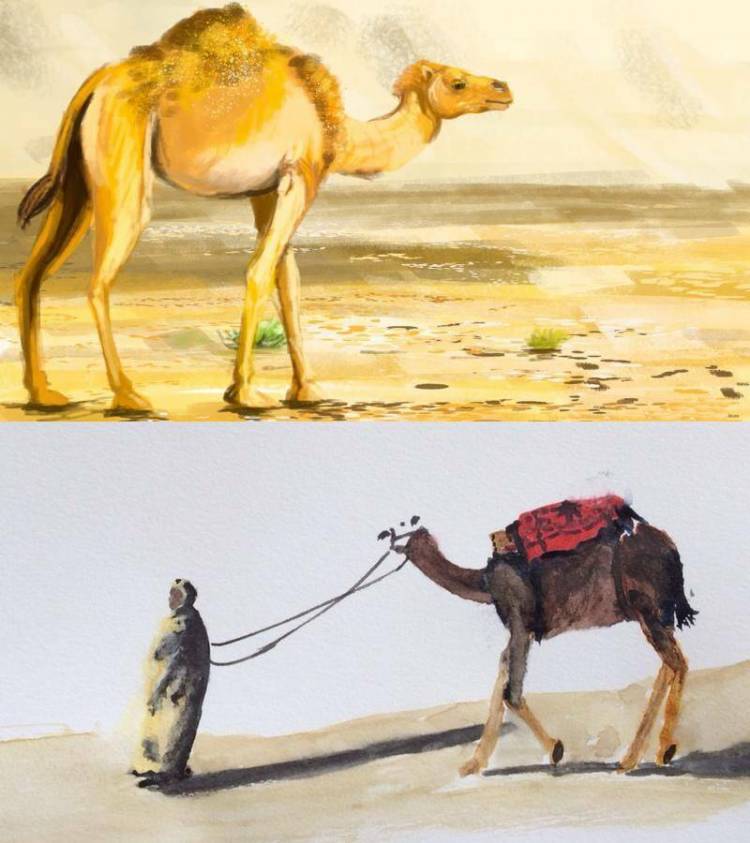 Как нарисовать верблюда для детей