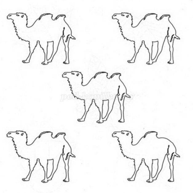 Рисование верблюда в подготовительной группе поэтапно с фото