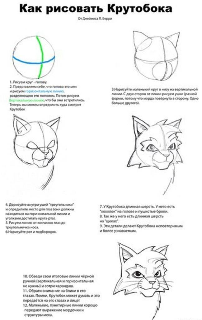 Как нарисовать котов воителей карандашом поэтапно?
