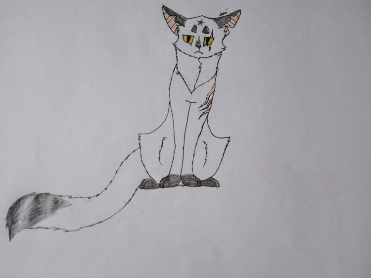 Поэтапное рисование котов воителей