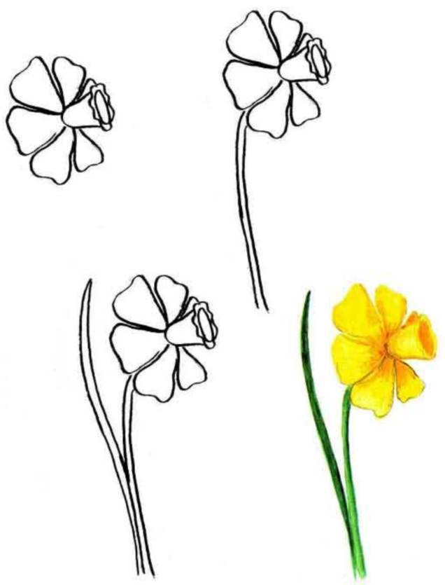 Как нарисовать с детьми весенние цветы? Что нарисовать, какие цветы?